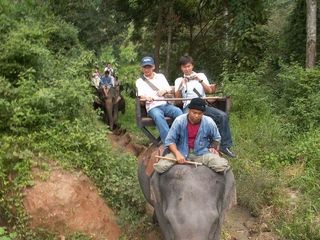 泰国骑大象