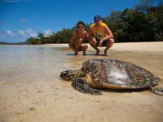 海龟岛