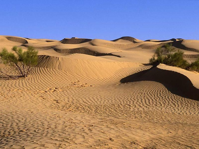 撒哈拉沙漠3