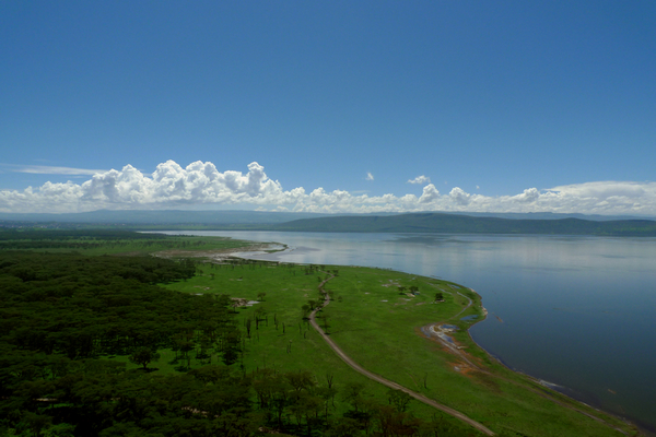 纳库鲁湖国家公园