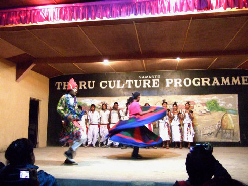 塔鲁族民俗歌舞表演