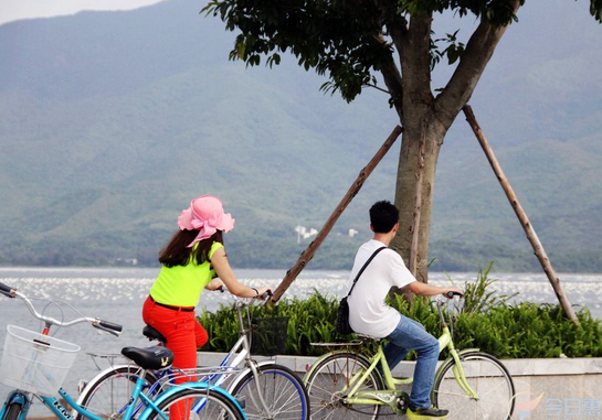 小桂湾绿道单车环海