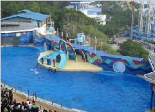 【超值品质】香港海洋公园+迪士尼乐园二日游
