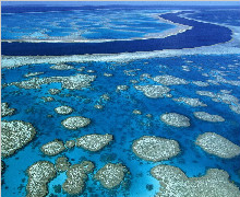 【澳洲大堡礁】墨尔本+新西兰北岛十一日游