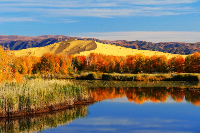 新疆白沙湖风景区