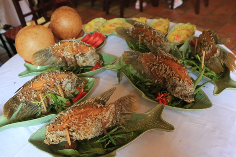 湄公河油泡象鱼