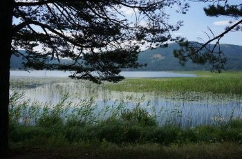 阿邦特湖自然公园