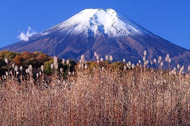 富士山二合目
